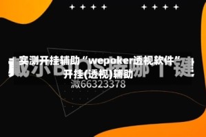 实测开挂辅助“wepoker透视软件”开挂(透视)辅助
