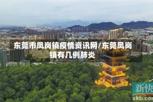 东莞市凤岗镇疫情资讯网/东莞凤岗镇有几例肺炎