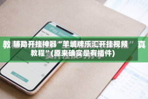 辅助开挂神器“羊城牌乐汇开挂视频教程”(原来确实是有插件)