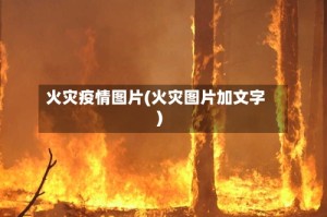 火灾疫情图片(火灾图片加文字)