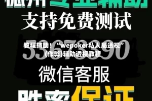 教程辅助！“wepoker私人局透视”(作弊)辅助透视教程