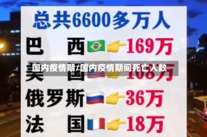 国内疫情期/国内疫情期间死亡人数