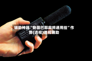 辅助神器“新疆巴郎麻将通用挂”作弊(透视)透视辅助