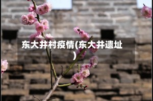 东大井村疫情(东大井遗址)