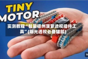 实测教程“智星德州菠萝透视插件工具”(曝光透视必备猫腻)