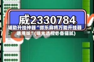 辅助开挂神器“微乐麻将万能开挂器通用版”(曝光透视必备猫腻)