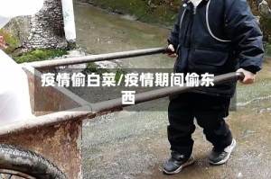 疫情偷白菜/疫情期间偷东西
