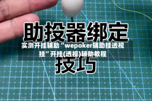 实测开挂辅助“wepoker辅助挂透视挂”开挂(透视)辅助教程