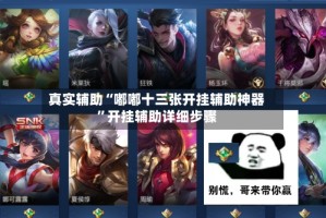 真实辅助“嘟嘟十三张开挂辅助神器”开挂辅助详细步骤
