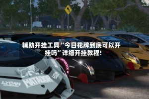 辅助开挂工具“今日花牌到底可以开挂吗”详细开挂教程!