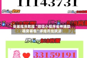 安装程序教程“微信小程序雀神辅助器安装包”详细开挂玩法