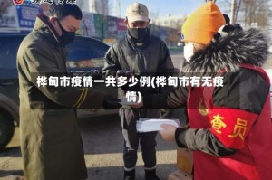 桦甸市疫情一共多少例(桦甸市有无疫情)
