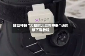 辅助神器“大胡皖北麻将神器”通用版下载教程