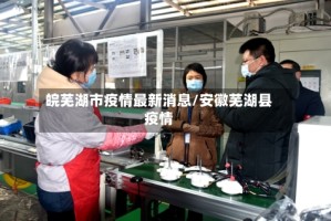皖芜湖市疫情最新消息/安徽芜湖县疫情