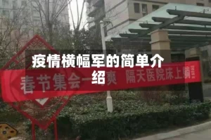 疫情横幅军的简单介绍