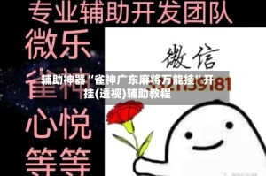 辅助神器“雀神广东麻将万能挂”开挂(透视)辅助教程