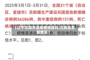 【辽宁沈阳市是疫情地区吗,沈阳是否疫情区】