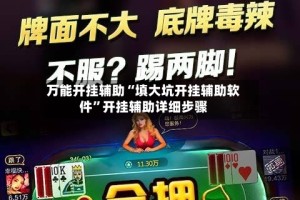 万能开挂辅助“填大坑开挂辅助软件”开挂辅助详细步骤