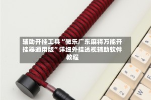 辅助开挂工具“微乐广东麻将万能开挂器通用版”详细外挂透视辅助软件教程