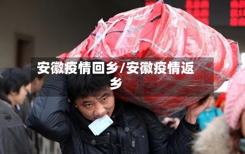安徽疫情回乡/安徽疫情返乡-第2张图片