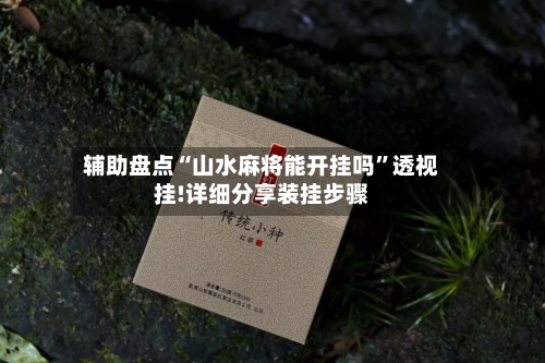 辅助盘点“山水麻将能开挂吗”透视挂!详细分享装挂步骤-第2张图片