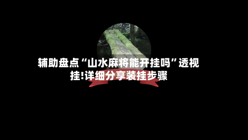 辅助盘点“山水麻将能开挂吗”透视挂!详细分享装挂步骤-第3张图片