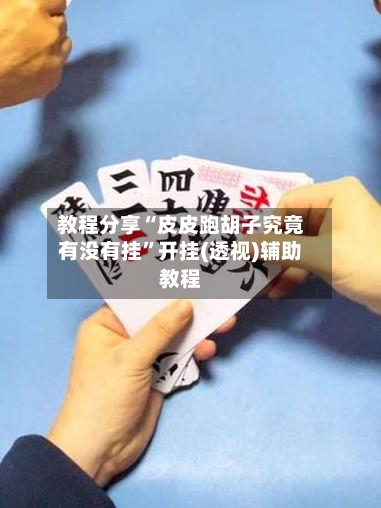 教程分享“皮皮跑胡子究竟有没有挂”开挂(透视)辅助教程-第2张图片