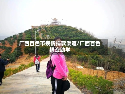 广西百色市疫情捐款渠道/广西百色捐资助学-第2张图片