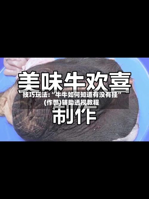 技巧玩法:“牛牛如何知道有没有挂”(作弊)辅助透视教程-第1张图片
