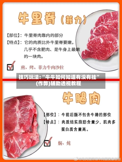 技巧玩法:“牛牛如何知道有没有挂	”(作弊)辅助透视教程-第2张图片