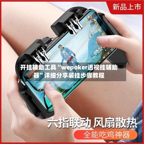 开挂辅助工具“wepoker透视挂辅助器”详细分享装挂步骤教程-第3张图片