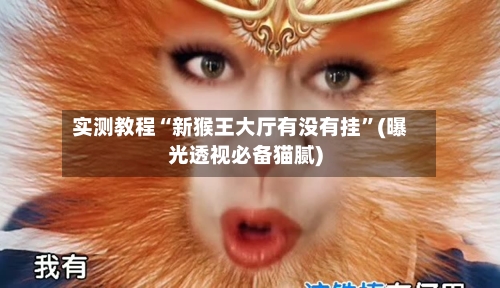 实测教程“新猴王大厅有没有挂”(曝光透视必备猫腻)-第2张图片