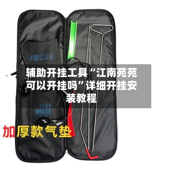 辅助开挂工具“江南苑苑可以开挂吗	”详细开挂安装教程-第2张图片