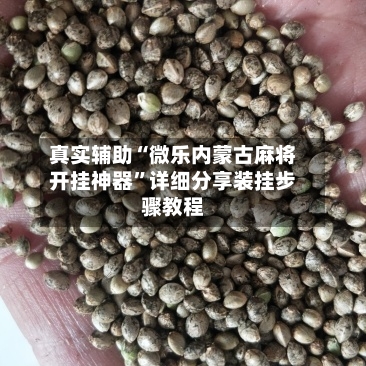 真实辅助“微乐内蒙古麻将开挂神器”详细分享装挂步骤教程-第1张图片