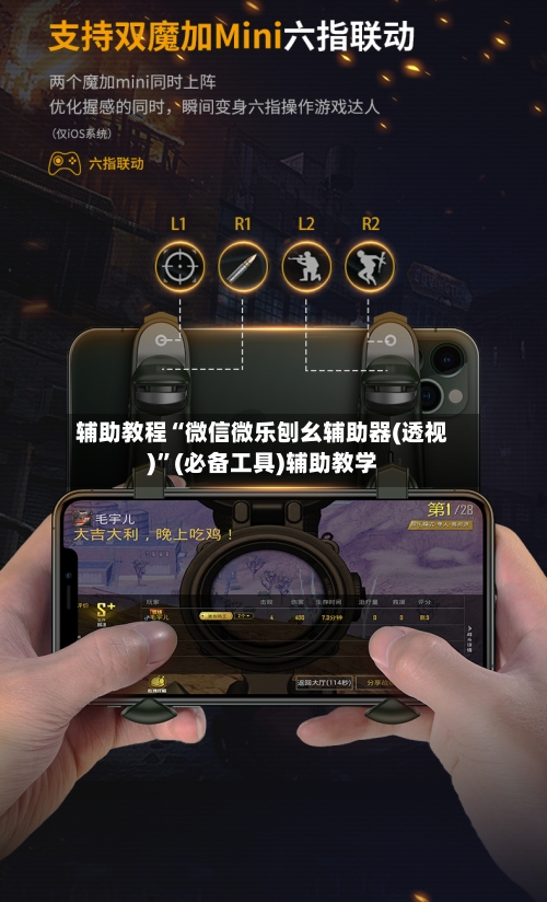 辅助教程“微信微乐刨幺辅助器(透视)”(必备工具)辅助教学-第1张图片