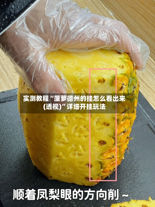 实测教程“菠萝德州的挂怎么看出来(透视)”详细开挂玩法-第1张图片