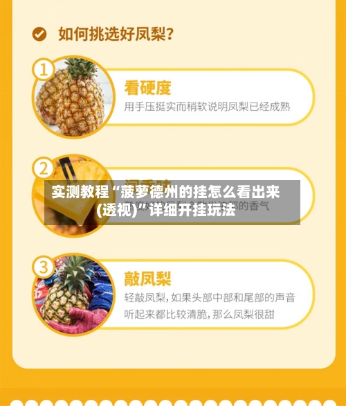 实测教程“菠萝德州的挂怎么看出来(透视)	”详细开挂玩法-第2张图片