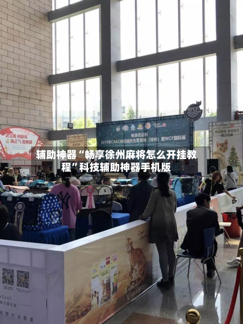 辅助神器“畅享徐州麻将怎么开挂教程”科技辅助神器手机版-第3张图片