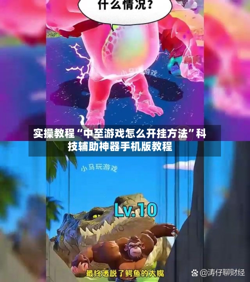 实操教程“中至游戏怎么开挂方法”科技辅助神器手机版教程-第2张图片