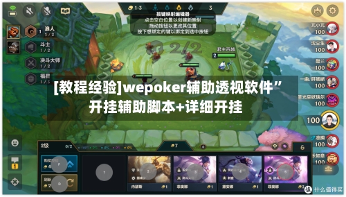 [教程经验]wepoker辅助透视软件”开挂辅助脚本+详细开挂-第2张图片