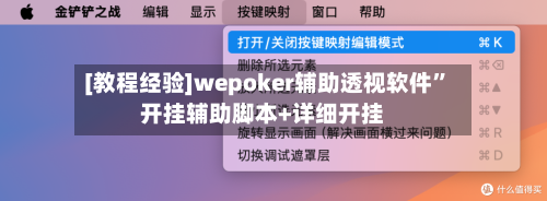 [教程经验]wepoker辅助透视软件	”开挂辅助脚本+详细开挂-第1张图片