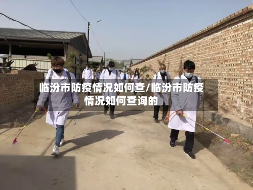 临汾市防疫情况如何查/临汾市防疫情况如何查询的-第1张图片