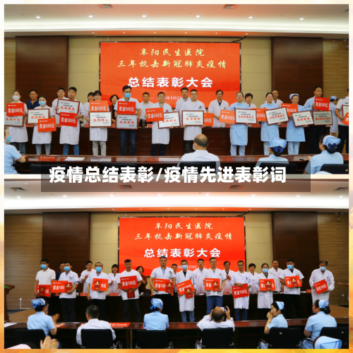 疫情总结表彰/疫情先进表彰词-第2张图片
