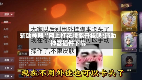 辅助神器“网上打花牌能开挂吗!辅助神器插件下载-第2张图片