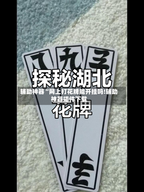 辅助神器“网上打花牌能开挂吗!辅助神器插件下载-第3张图片