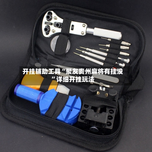 开挂辅助工具“聚友贵州麻将有挂没”详细开挂玩法-第3张图片