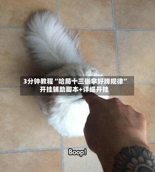 3分钟教程“哈局十三张拿好牌规律”开挂辅助脚本+详细开挂-第1张图片