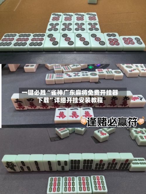 一键必胜“雀神广东麻将免费开挂器下载”详细开挂安装教程-第2张图片