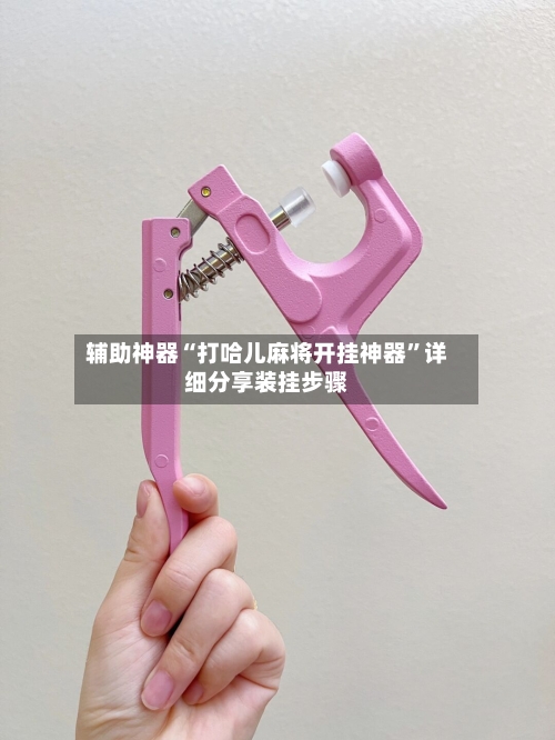 辅助神器“打哈儿麻将开挂神器	”详细分享装挂步骤-第2张图片