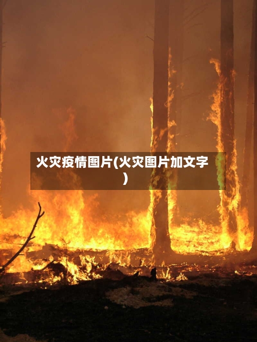 火灾疫情图片(火灾图片加文字)-第1张图片